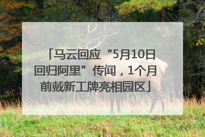 马云回应“5月10日回归阿里”传闻，1个月前戴新工牌亮相园区