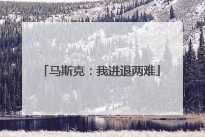 马斯克：我进退两难