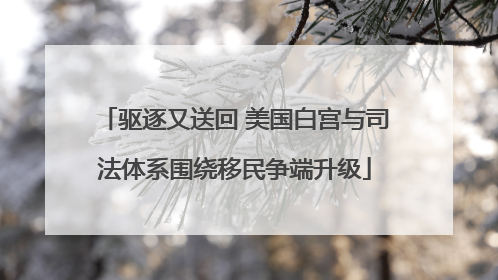 驱逐又送回 美国白宫与司法体系围绕移民争端升级