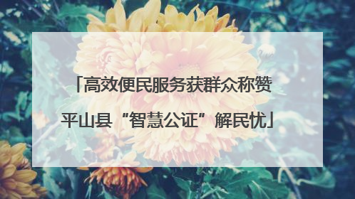 高效便民服务获群众称赞 平山县“智慧公证”解民忧