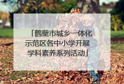 鹤壁市城乡一体化示范区各中小学开展学科素养系列活动