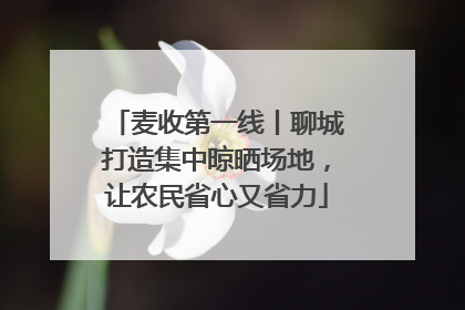 麦收第一线丨聊城打造集中晾晒场地，让农民省心又省力