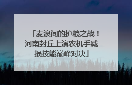 麦浪间的护粮之战！河南封丘上演农机手减损技能巅峰对决