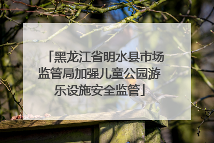 黑龙江省明水县市场监管局加强儿童公园游乐设施安全监管