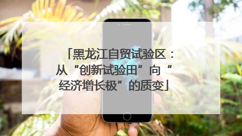 黑龙江自贸试验区：从“创新试验田”向“经济增长极”的质变