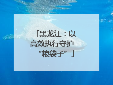 黑龙江：以高效执行守护“粮袋子”
