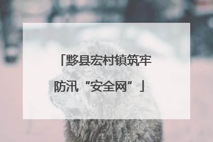 黟县宏村镇筑牢防汛“安全网”