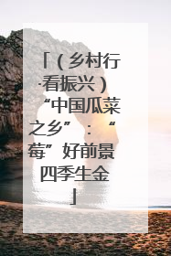 （乡村行·看振兴）“中国瓜菜之乡”：“莓”好前景 四季生金