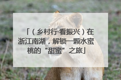 （乡村行·看振兴）在浙江南湖，解锁一颗水蜜桃的“甜蜜”之旅
