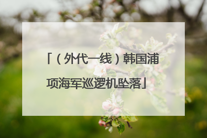 （外代一线）韩国浦项海军巡逻机坠落