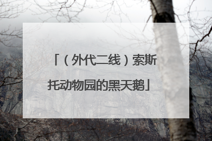 （外代二线）索斯托动物园的黑天鹅
