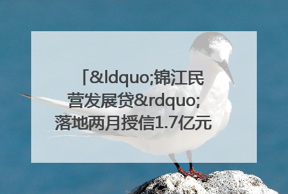 “锦江民营发展贷”落地两月授信1.7亿元，惠及118家民企