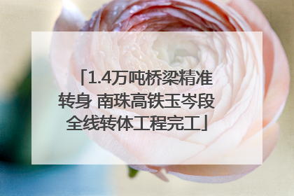 1.4万吨桥梁精准转身 南珠高铁玉岑段全线转体工程完工