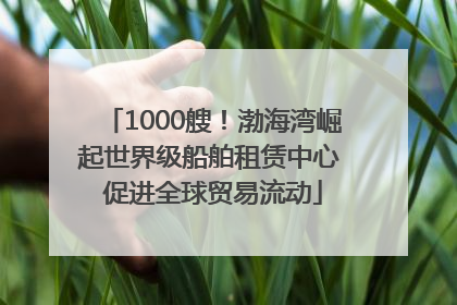 1000艘！渤海湾崛起世界级船舶租赁中心 促进全球贸易流动