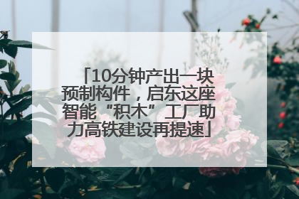 10分钟产出一块预制构件，启东这座智能“积木”工厂助力高铁建设再提速