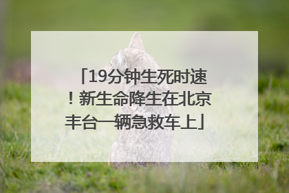 19分钟生死时速！新生命降生在北京丰台一辆急救车上