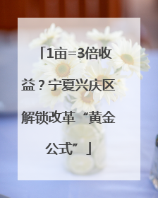 1亩=3倍收益？宁夏兴庆区解锁改革“黄金公式”
