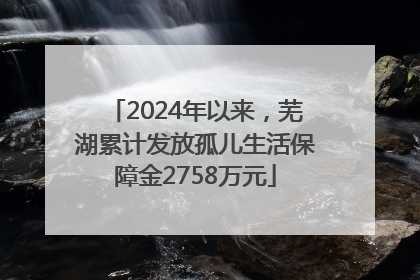 2024年以来，芜湖累计发放孤儿生活保障金2758万元