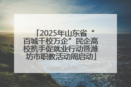 2025年山东省“百城千校万企”民企高校携手促就业行动暨潍坊市职教活动周启动
