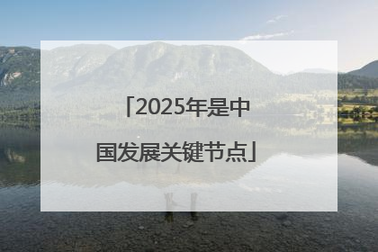 2025年是中国发展关键节点