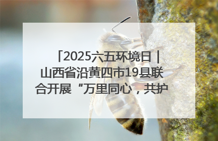 2025六五环境日｜山西省沿黄四市19县联合开展“万里同心，共护黄河”环保志愿者助力一泓清水入黄河公益活动