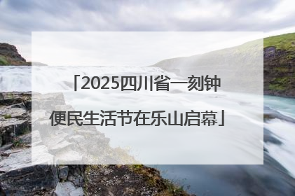 2025四川省一刻钟便民生活节在乐山启幕