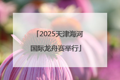2025天津海河国际龙舟赛举行