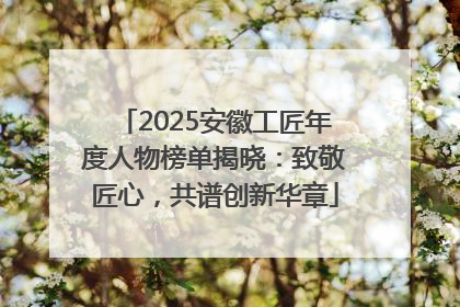 2025安徽工匠年度人物榜单揭晓：致敬匠心，共谱创新华章