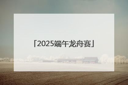 2025端午龙舟赛