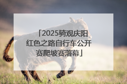 2025骑观庆阳红色之路自行车公开赛爬坡赛落幕