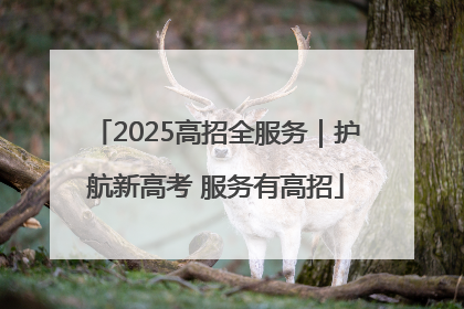 2025高招全服务｜护航新高考 服务有高招