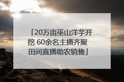 20万亩巫山洋芋开挖 60余名主播齐聚田间直播助农销售