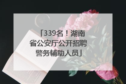 339名！湖南省公安厅公开招聘警务辅助人员