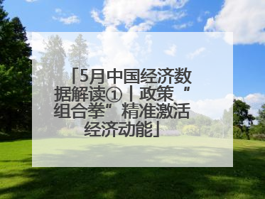5月中国经济数据解读①丨政策“组合拳”精准激活经济动能