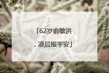 62岁俞敏洪，凌晨报平安