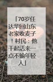 70岁任达华回山东老家收麦子！村民：他干起活来一点不输年轻人