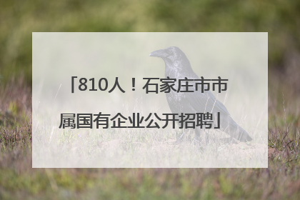 810人！石家庄市市属国有企业公开招聘