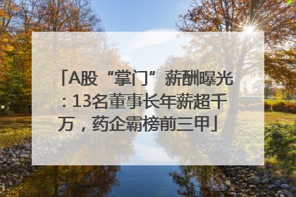 A股“掌门”薪酬曝光：13名董事长年薪超千万，药企霸榜前三甲