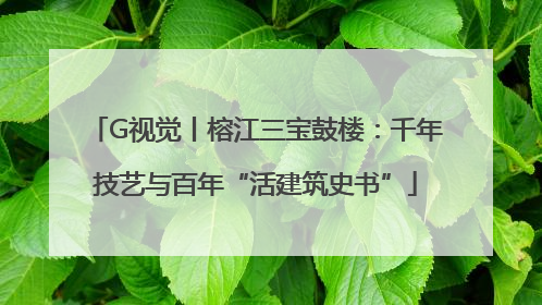 G视觉丨榕江三宝鼓楼：千年技艺与百年“活建筑史书”