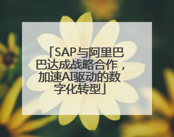 SAP与阿里巴巴达成战略合作，加速AI驱动的数字化转型